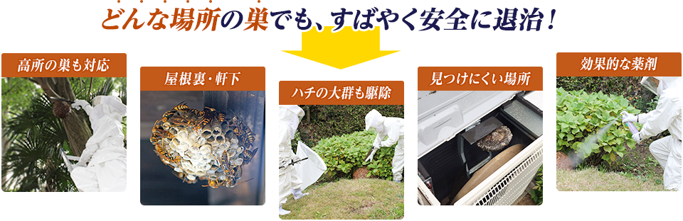 どんな場所・種類のハチの巣も即退治します。高所の巣も対応、屋根裏、軒下、見つけにくい場所も大丈夫です。ハチの大群も駆除。効果的な薬剤を使います。