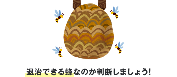 退治できる蜂なのか判断しましょう!