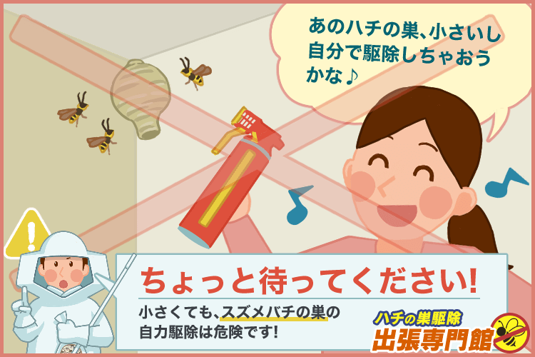 小さくてもスズメバチの巣の自力駆除は危険です