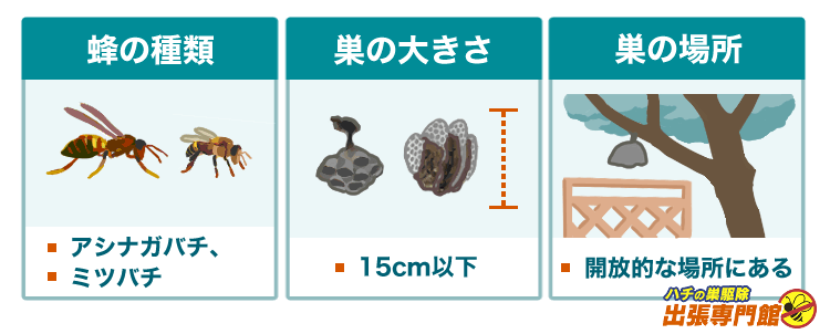アシナガバチかミツバチで、15cm以下の巣で、開放的な場所にある巣