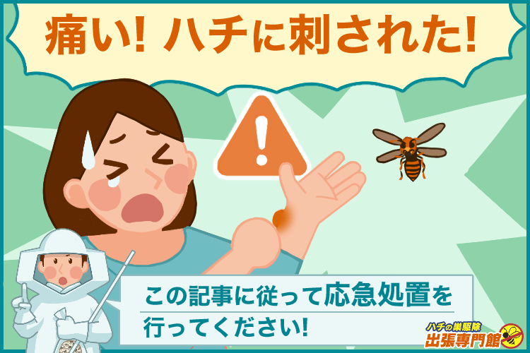 ハチに刺されたら応急処置を行ってください