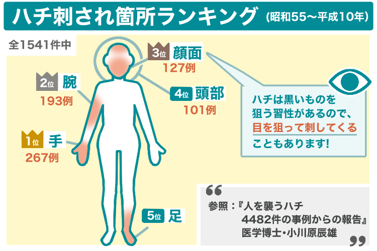 ハチに刺される箇所1位は手。2位は腕、3位は顔面。