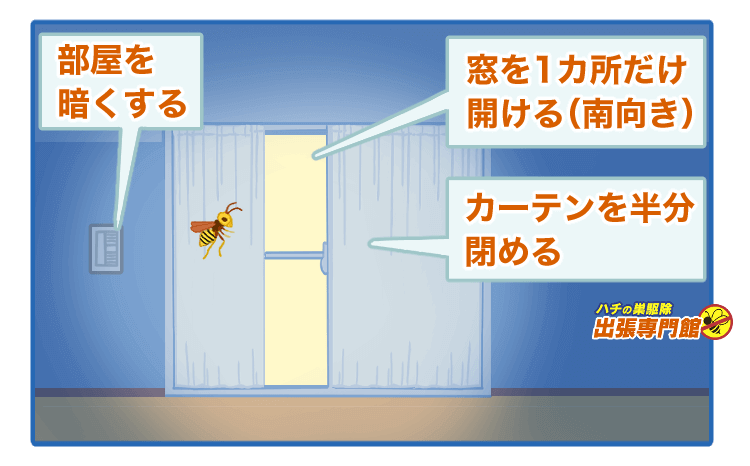 部屋を暗くする。窓を1箇所だけ開ける。カーテンを半分閉める。