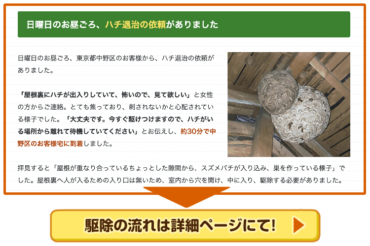 ハチ退治の依頼紹介