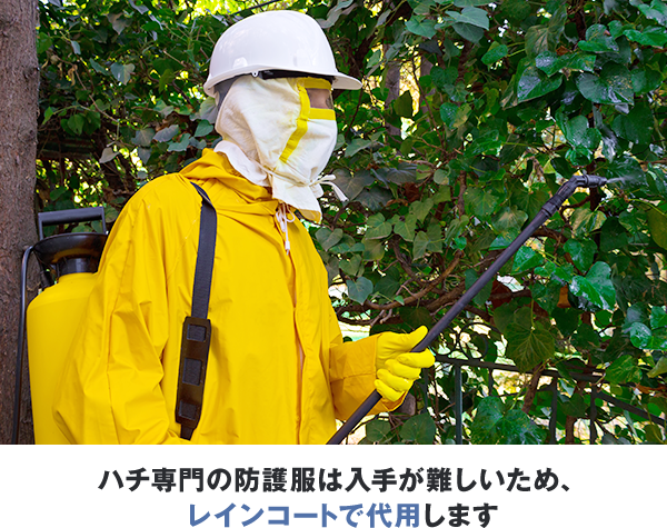 ハチ専門の防護服は入手が難しいため、 レインコートで代用します