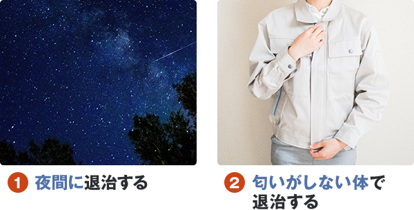 夜間に退治する。匂いがしない体で退治する