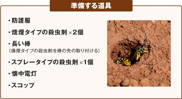 土の中にできた蜂の巣