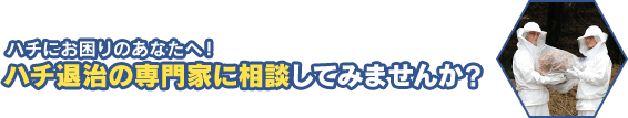 ハチにお困りのあなたへ。ハチ退治の専門家に相談して見ませんか。