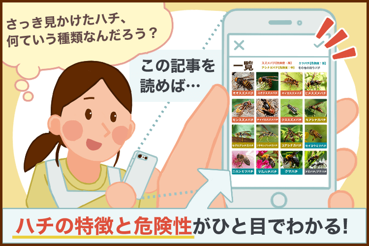 この記事を読めばハチの特徴と危険性がひと目でわかる