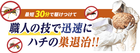 最短30分で駆けつけて職人の技で迅速にハチの巣退治