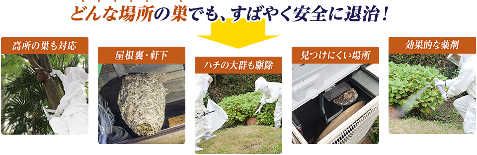 どんな場所・種類のハチの巣も即退治します。高所の巣も対応、屋根裏、軒下、見つけにくい場所も大丈夫です。ハチの大群も駆除。効果的な薬剤を使います。
