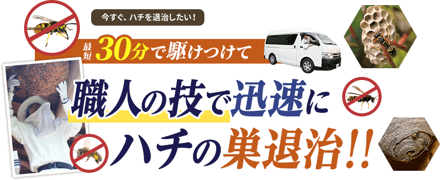 今すぐハチを退治したい!最短30分で駆けつけて職人の技で迅速にハチの巣を退治します