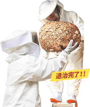素早く退治完了