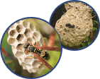 状況確認