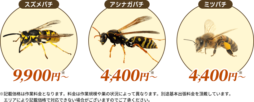 スズメバチの退治費用9,900円から。アシナガバチの退治費用4,400円から。ミツバチの退治費用4,400円から。
