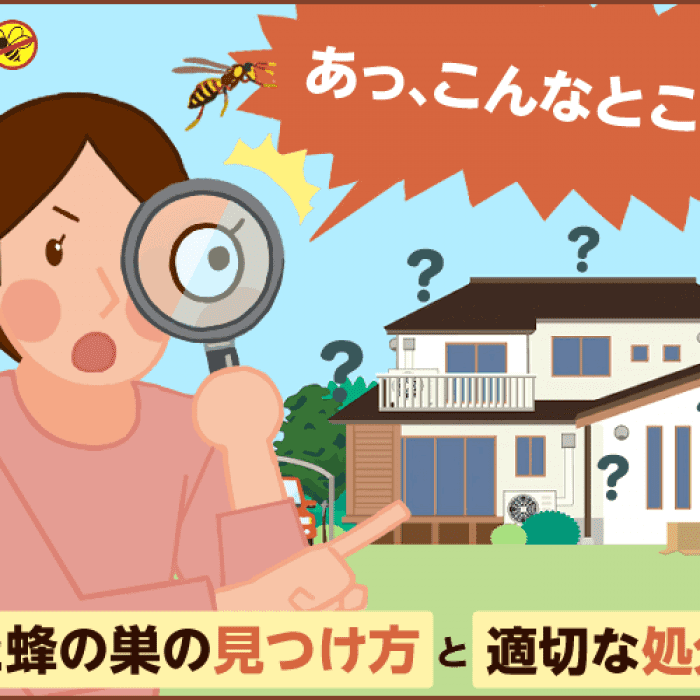 スズメバチ。 スズメバチの巣 引き取り限定
