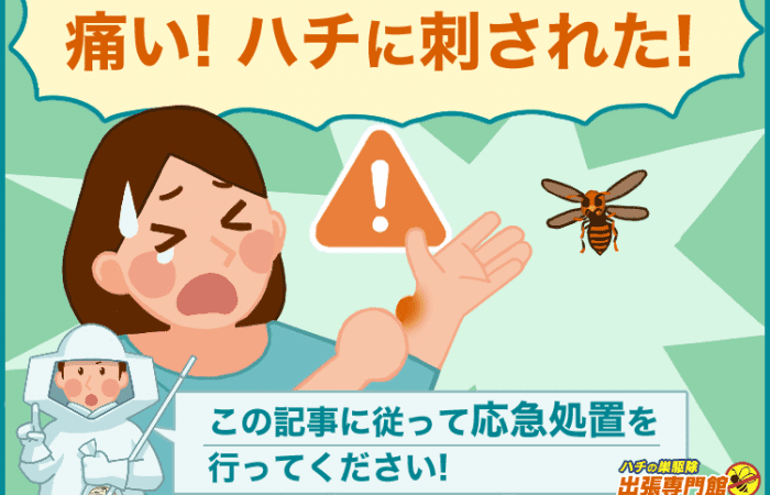 1分で解決！ハチに刺された時の応急処置