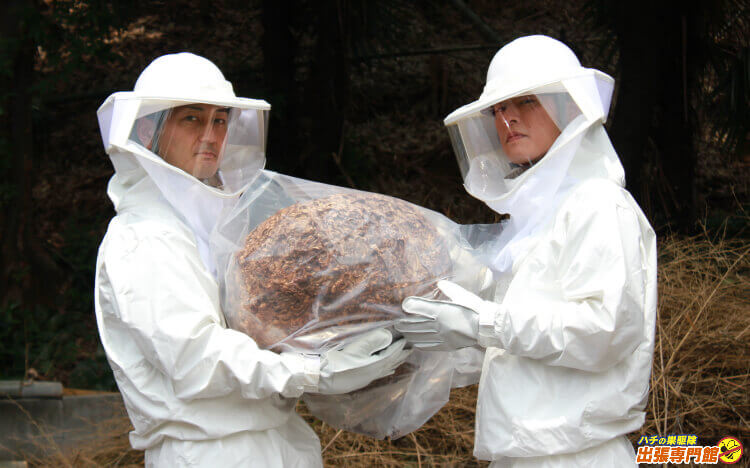 蜂駆除専門業者がハチの巣を取り除いたところ