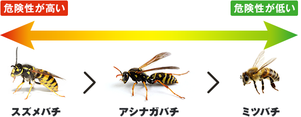 スズメバチ　＞　アシナガバチ　＞　ミツバチ