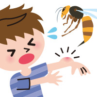 1分で理解できる ハチに刺された時の応急処置 最新