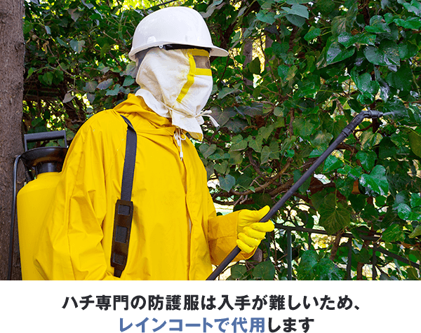 ハチ専門の防護服は入手が難しいため、レインコートで代用します